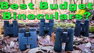 Best Budget Binoculars for Hunting [upl. by Oralla234]