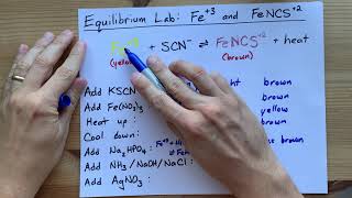 Le Chatelier Lab ANSWERS Fe3 and FeSCN2 Equilibrium [upl. by Adnawed]