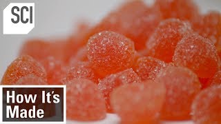 How Gummy Vitamins Are Made  How Its Made [upl. by Srini]