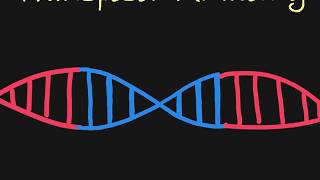 Introduction to Transposons [upl. by Lederer]