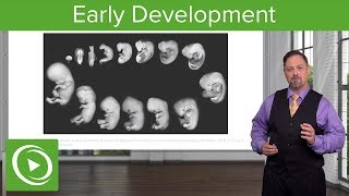 Embryology Introduction amp Early Stages  Lecturio [upl. by Sergu692]