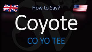 How to Pronounce Coyote  English American Pronunciation [upl. by Erda]