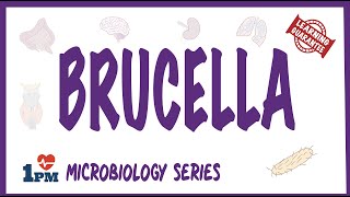 Brucella  Pathogenesis Causes Symptoms Treatment [upl. by Mag305]