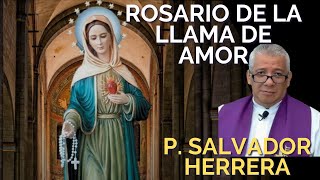 Rosario de la Llama de Amor dirigido por el Padre Salvador Herrera rosariollamadeamor llamadeamor [upl. by Duahsar]