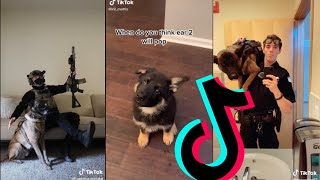 Amazing k9 Police Dogs TikTok Compilation 1  Dogs Of TikTok [upl. by Eyma]