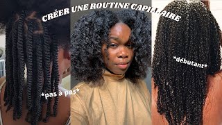 COMMENT CRÉER SA ROUTINE CAPILLAIRE CHEVEUX CRÉPUS  BOUCLÉSFRISÉS [upl. by Enisamoht417]