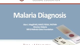 Malaria Diagnosis by Alan Magill Gates Foundation [upl. by Waddington]