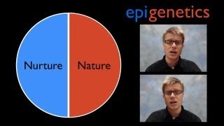 Epigenetics [upl. by Ididn]