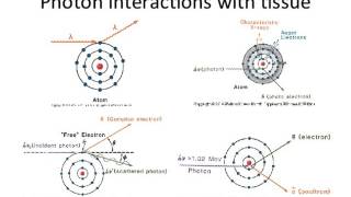 Lecture 2  Introduction to Radiation Biology and Physics [upl. by Gagne56]