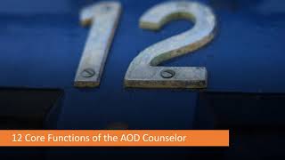 Addictions Counselor Core Skills Part I The 12 Core Functions [upl. by Sibylla]