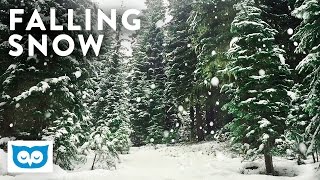 Peaceful Falling Snow  2 Hours HD Relaxing Snowy Forest [upl. by Anyr]