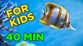 Fun Underwater Adventure for KIDS 40 Minutes [upl. by Weibel]