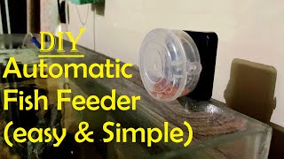 Homemade Auto Fish Feeder V 20 [upl. by Larkin]