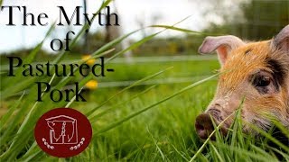 The Myth of PasturedPork [upl. by Llirret]