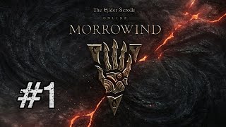 Lets Play Elder Scrolls Online Morrowind BLIND Part 1 MORROWINDS BACK [upl. by Nwad178]