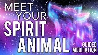 Meet Your SPIRIT ANIMAL Guided Meditation Communicate With Your Animal Spirit Guide [upl. by Keenan109]