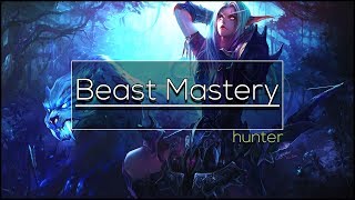 Legion  Beast Mastery Hunter  Full DPS Guide 732735 [upl. by Zehe]