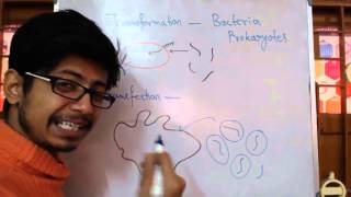 Transformation Vs Transfection [upl. by Oesile]