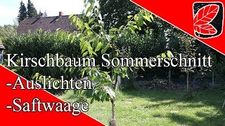 Sommerschnitt der Süßkirsche [upl. by Amles]