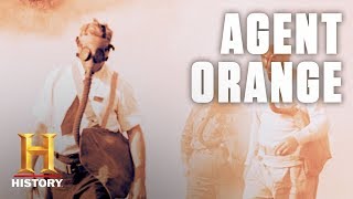 What Is Agent Orange  History [upl. by Rosabelle965]