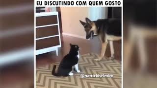 MELHORES MEMES DE ANIMAIS FALANTES ENGRAÃ‡ADOS BELMIRO MEMESCOMPILADO COM MEMES DE ANIMAIS FALANTES [upl. by Sammons686]