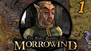 We Begin Tamriel Rebuilt  Morrowind Mondays Tamriel Rebuilt OpenMW 1 [upl. by Nogaem758]