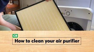 How to Clean an Air Purifier  Consumer Reports [upl. by Adnilrev]