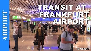 TRANSIT WALK AT FRANKFURT Airport FRA Terminal 1  Connection Flight Transfer Arriving amp Departing [upl. by Algy]