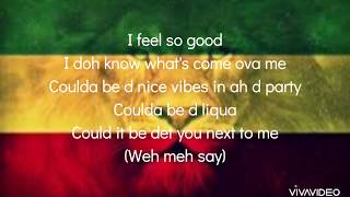 Collie Buddz  I feel so good Lyrics [upl. by Naaman]