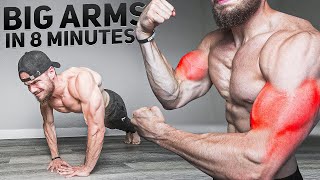 Build Big ARMS in 8 Minutes AT HOME NO EQUIPMENT [upl. by Huskamp763]