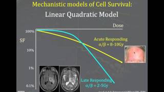 Radiobiology and principies of radiotherapy [upl. by Munt]