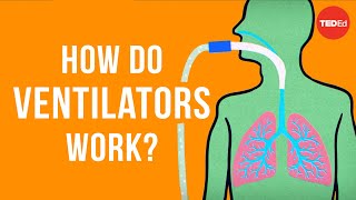 How do ventilators work  Alex Gendler [upl. by Medwin]